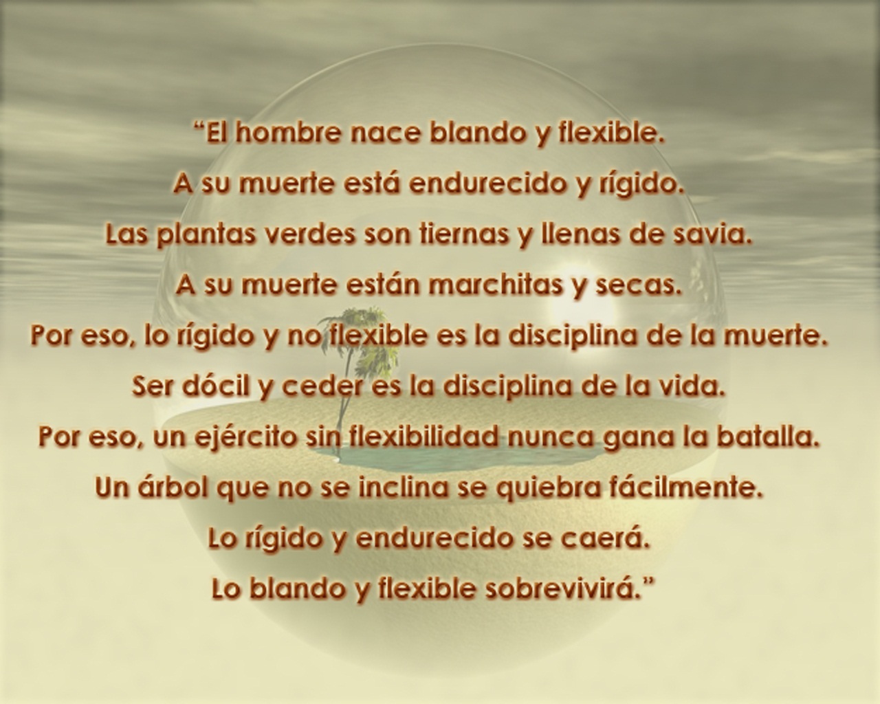 <h2>Nosotros</h2>